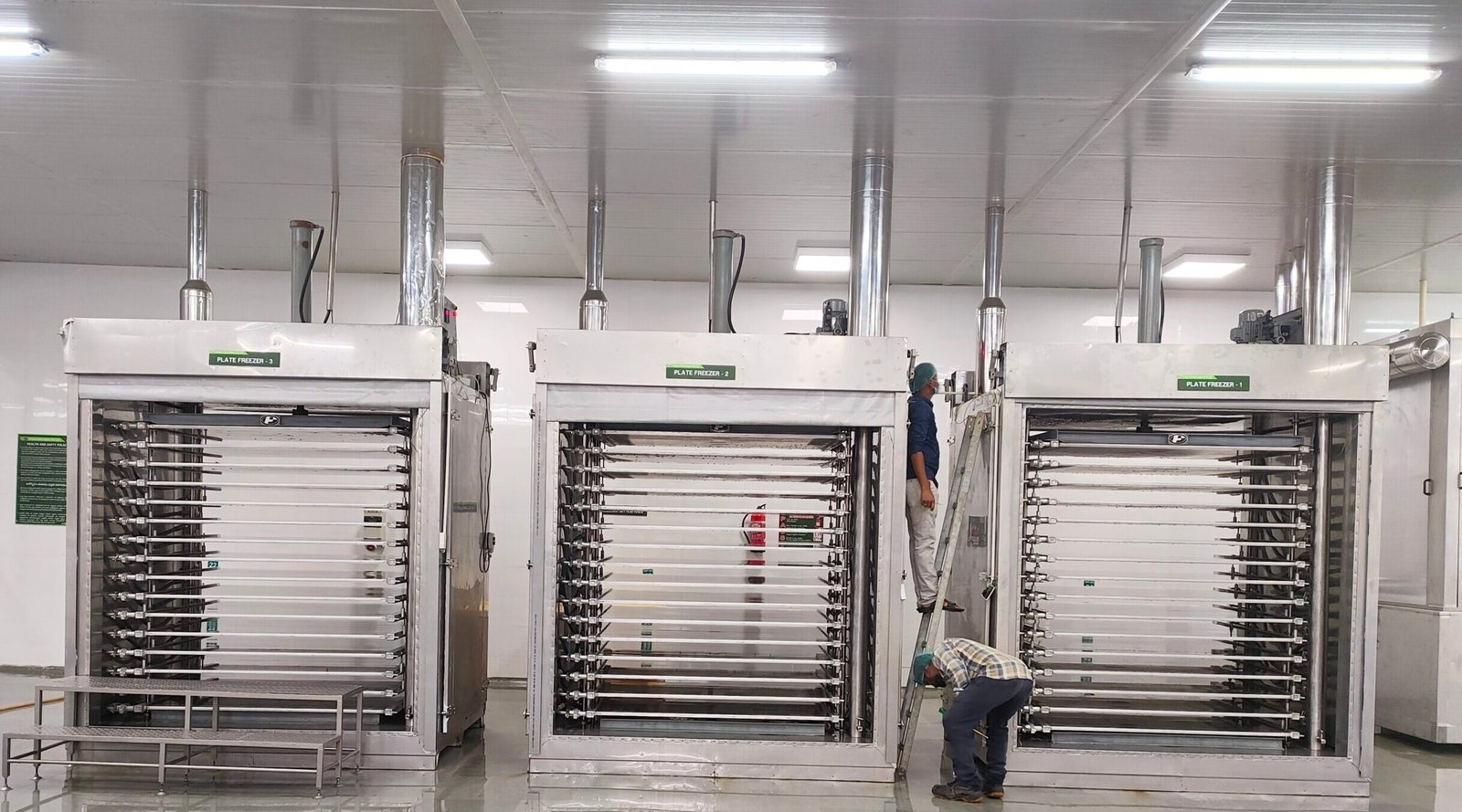 Plate Freezers  and IQF