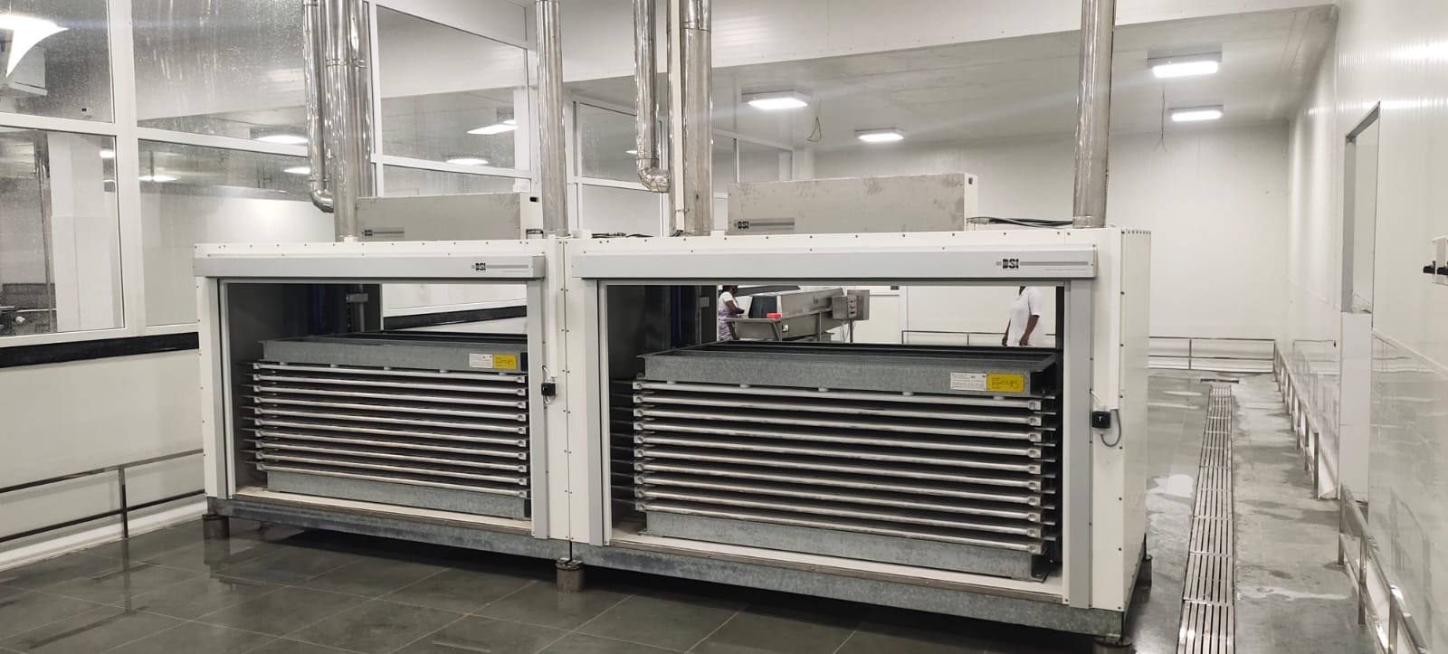 Plate Freezers  and IQF