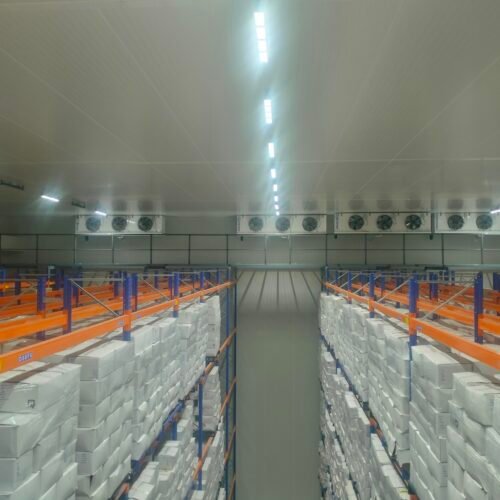 4800 Pallets for Frozen store