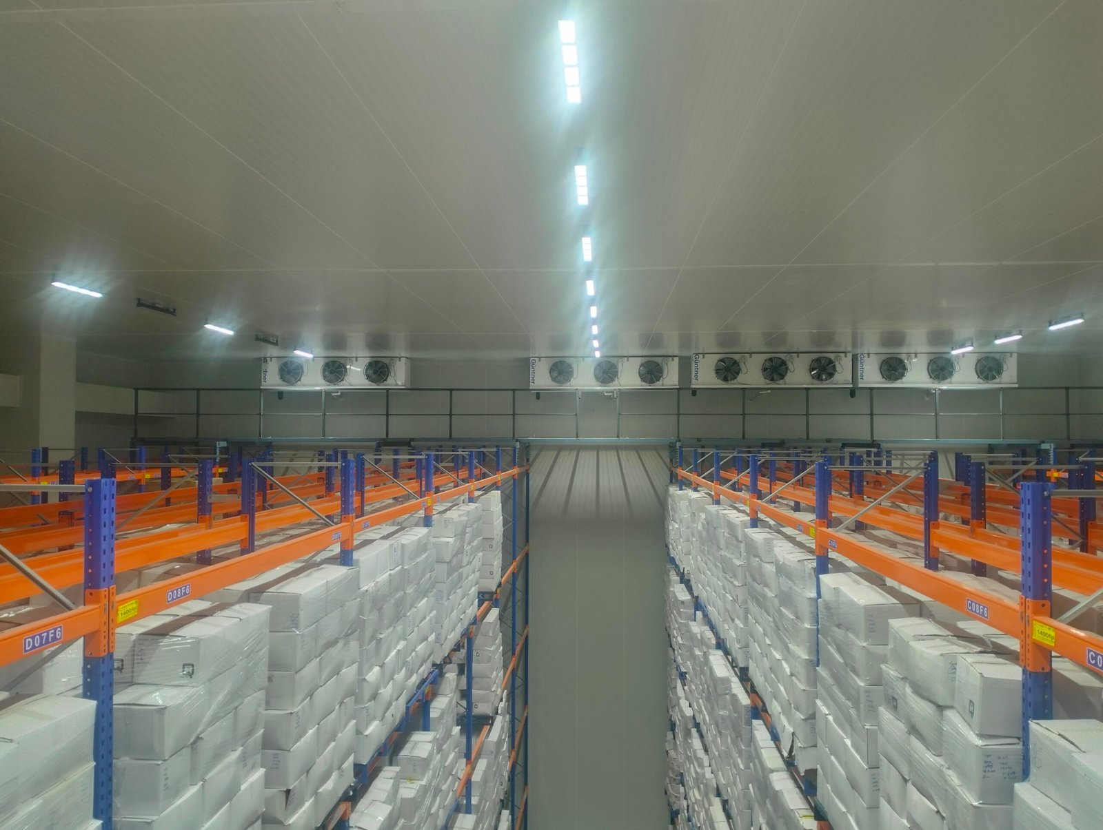 Dual Temperature Store