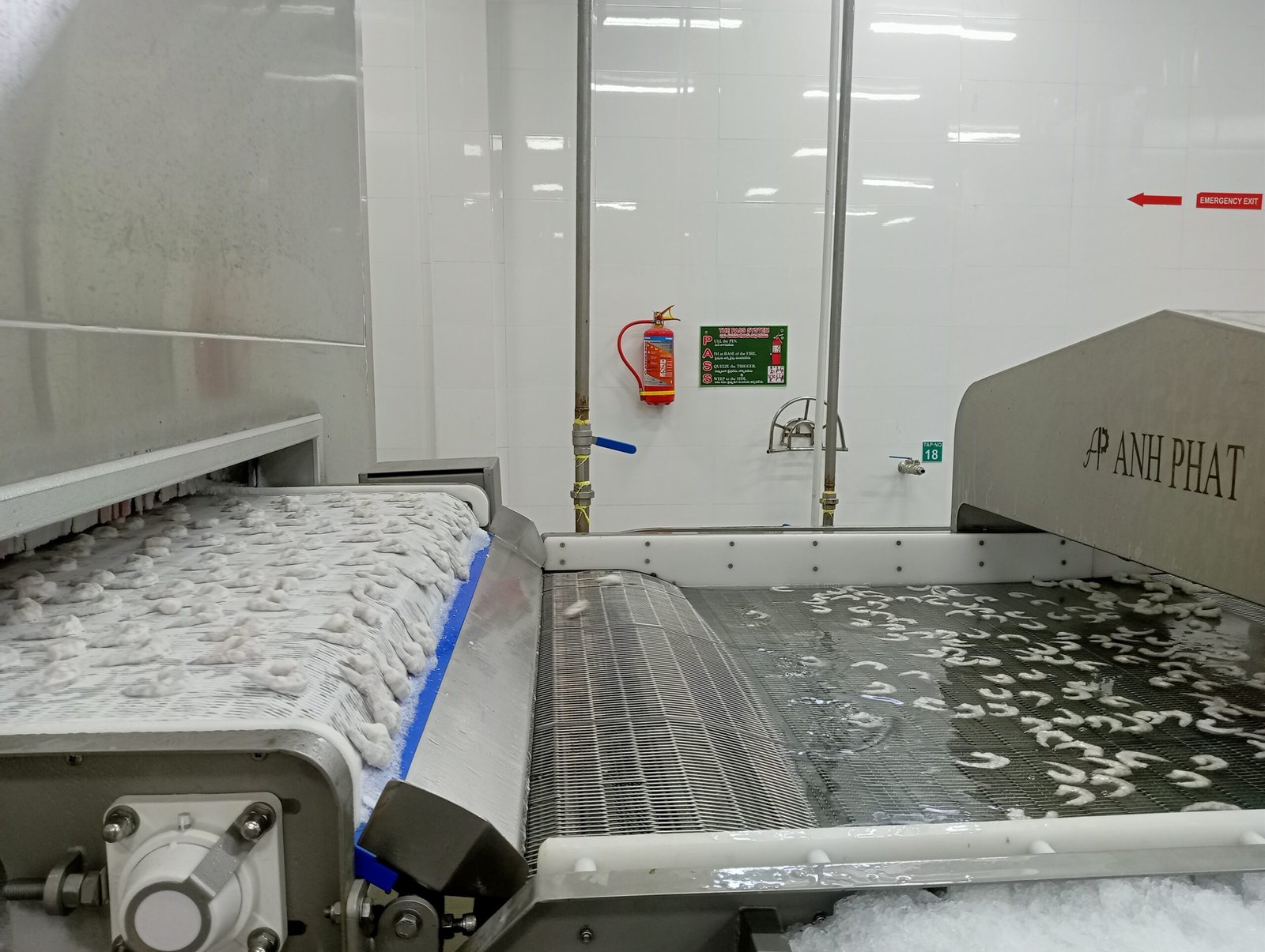 Plate Freezers  and IQF