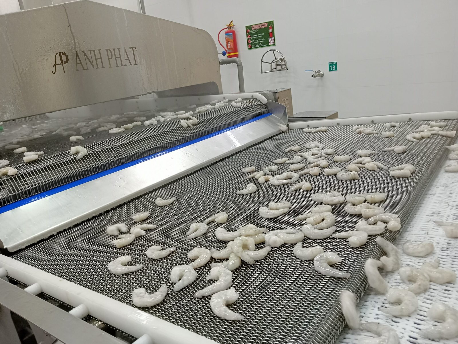 Plate Freezers  and IQF