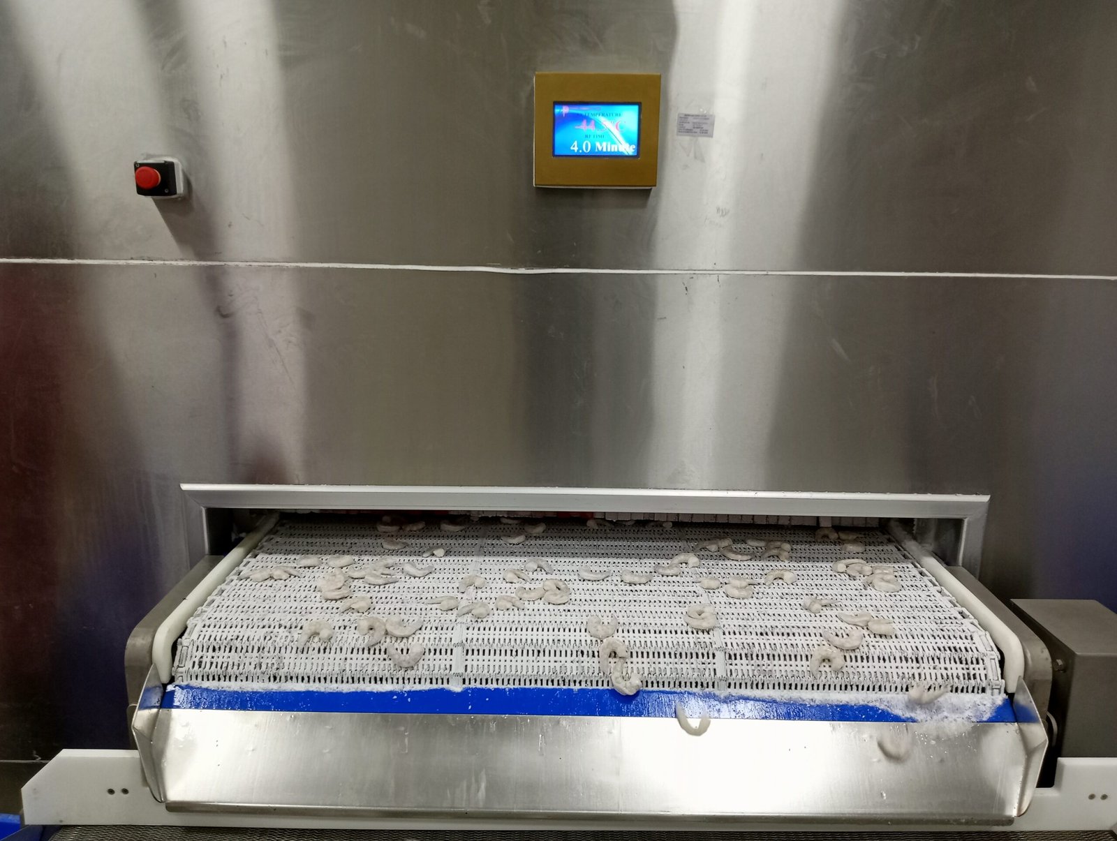 Plate Freezers  and IQF